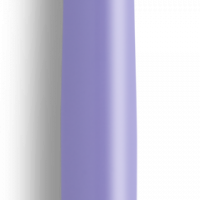 WATERMAN Hemisphere Fountain Pen - Purple Gold Trim